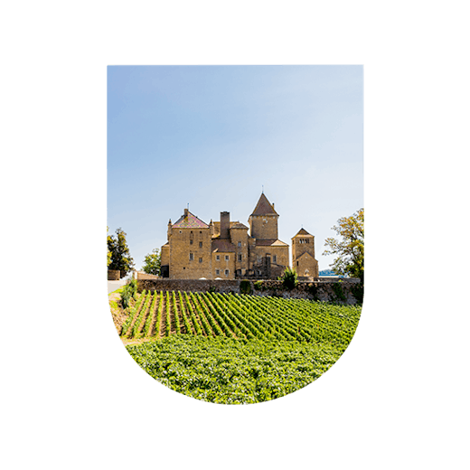Bordeaux rive gauche: a powerful, well-balanced wine